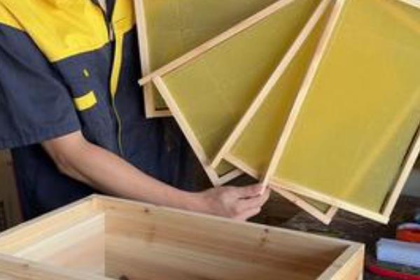 蜂箱15元一个是不是真的，基本上是不可能的