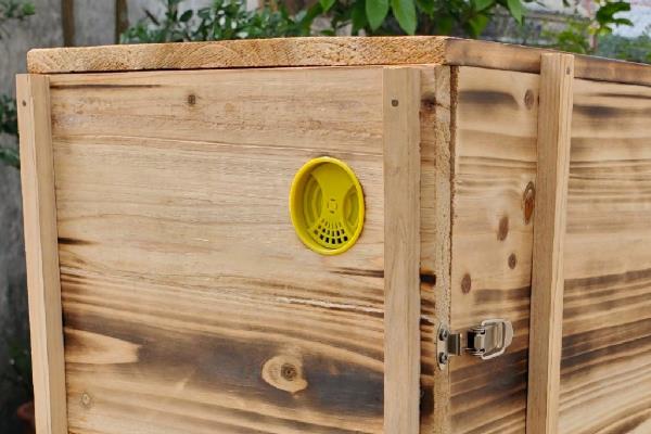 蜂箱15元一个是不是真的，基本上是不可能的