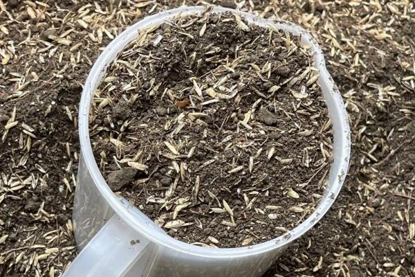 君子兰用普通土行吗，不可以用普通的土种