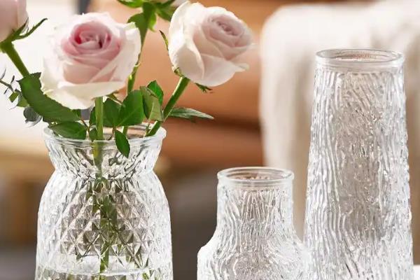 葡萄风信子的水培方法，要选择长势良好的植株作插穗