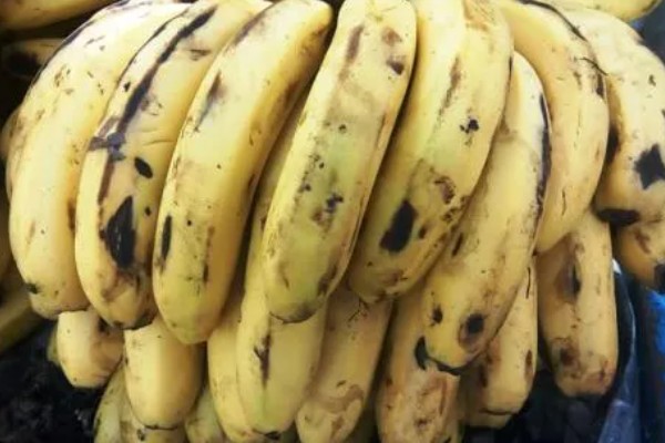 香蕉熟透了还可以吃吗,是可以吃的
