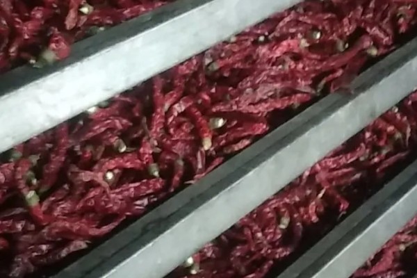 干辣椒要如何保存，注意一定要将袋口扎紧