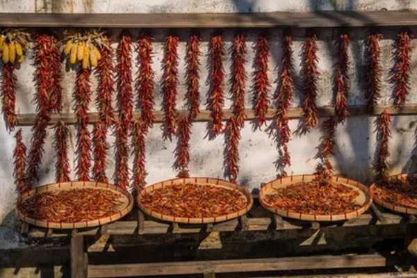 干辣椒要如何保存，注意一定要将袋口扎紧