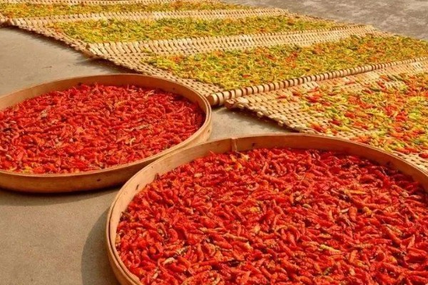 干辣椒要如何保存，注意一定要将袋口扎紧