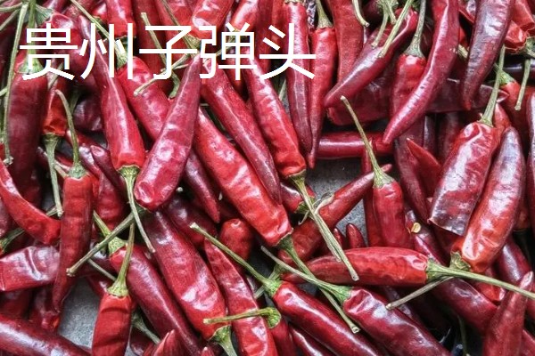 干辣椒要如何保存，注意一定要将袋口扎紧