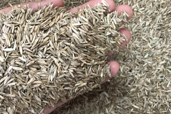 牧草种子的生产技术，种子田的周围要架设围栏