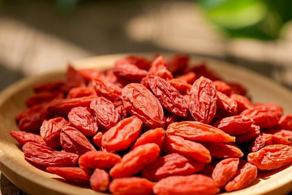 哪些植物可以种在碱地中，常见沙枣、枸杞、梨树等品种