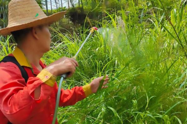 除草剂如何混用除草效果好，常见以下5种混剂