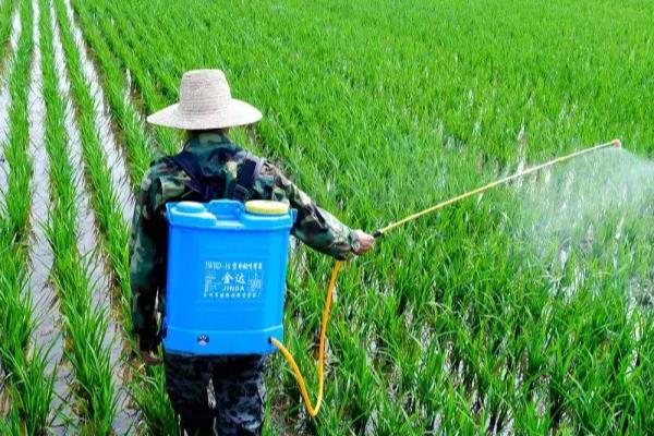 除草剂如何混用除草效果好，常见以下5种混剂