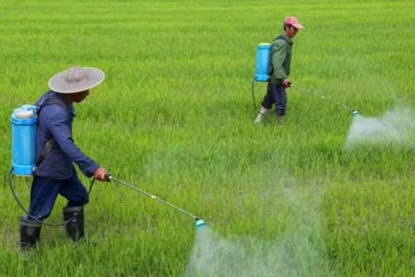 除草剂如何混用除草效果好，常见以下5种混剂