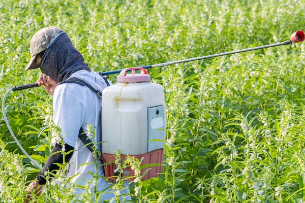 除草剂如何混用除草效果好，常见以下5种混剂