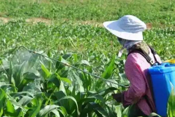 除草剂如何混用除草效果好，常见以下5种混剂