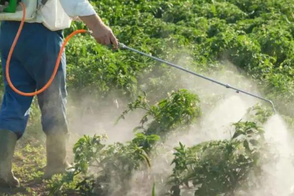 除草剂如何混用除草效果好，常见以下5种混剂