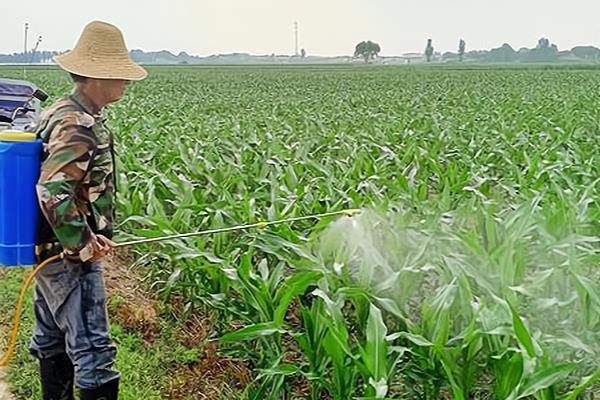 除草剂如何混用除草效果好，常见以下5种混剂