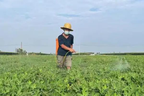 除草剂如何混用除草效果好，常见以下5种混剂