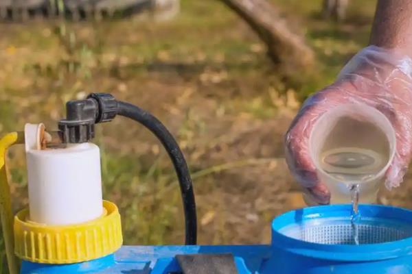 猕猴桃剪枝后流水如何解决，喷施多菌灵可让伤口快速结痂