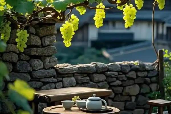 葡萄树适合种在庭院的什么方向，适合东北方向