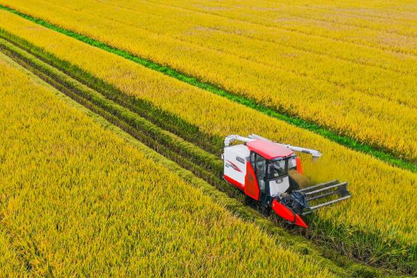 农业产业化经营的核心，核心是经营一体化