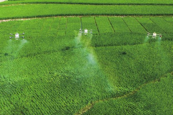 农业产业化经营的核心，核心是经营一体化