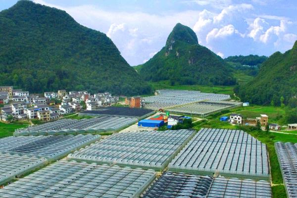 农业产业化经营的核心，核心是经营一体化