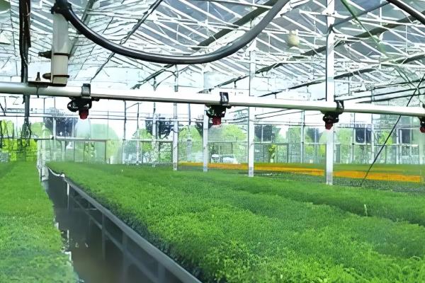 农业产业化经营的核心，核心是经营一体化