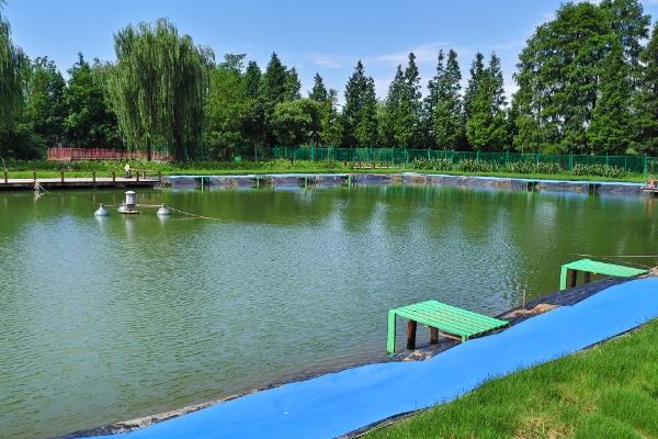 硫酸铜亩用多少斤，夏季亩用量通常为300克左右