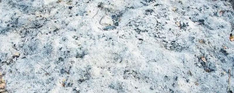 草木灰能用作花肥吗，草木灰是可以做花肥的