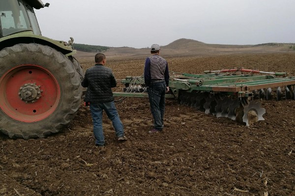 东北地区春玉米播种要点,要在5月20日前完成播种
