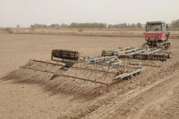 东北地区春玉米播种要点,要在5月20日前完成播种