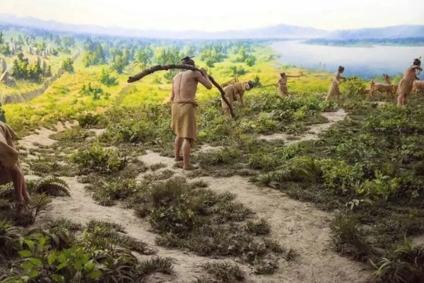 原始农业兴起有什么标志，包括作物种植、家畜饲养的出现等