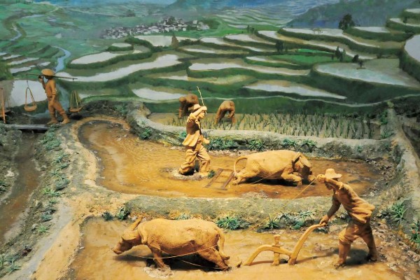 原始农业兴起有什么标志，包括作物种植、家畜饲养的出现等