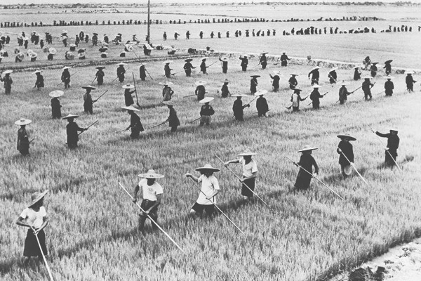 原始农业兴起有什么标志，包括作物种植、家畜饲养的出现等