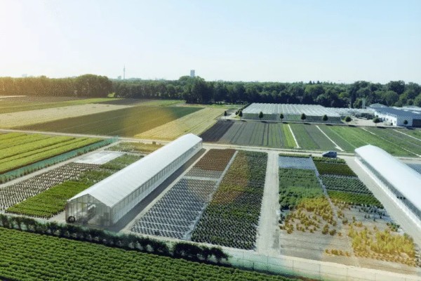 原始农业兴起有什么标志，包括作物种植、家畜饲养的出现等