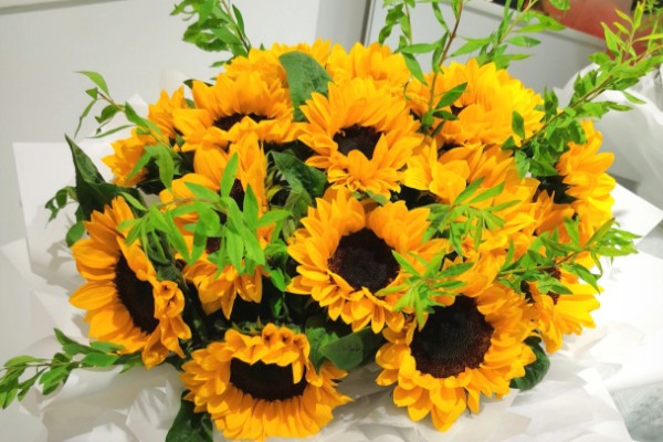 15朵向日葵的花语,寓意为你心动、幸福无边等