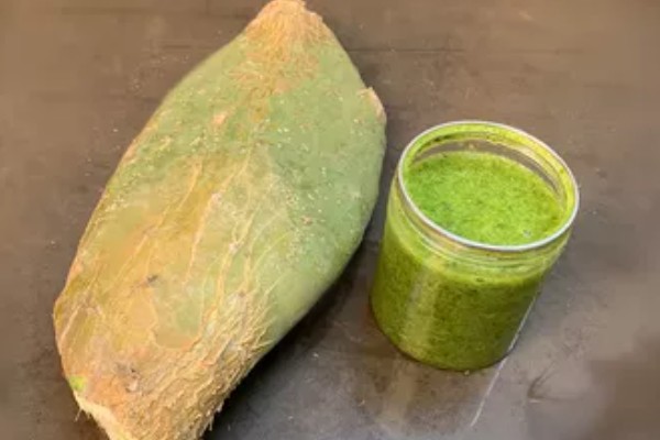 仙人掌的红色果实能不能吃，食用型仙人掌结出的果实可以吃