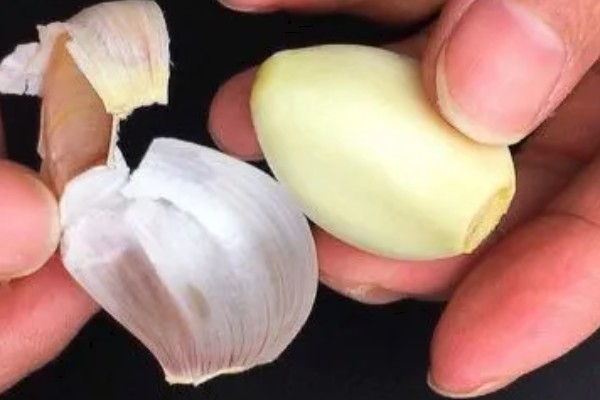 种大蒜要剥外面的皮吗，可以剥去外皮也可不剥皮