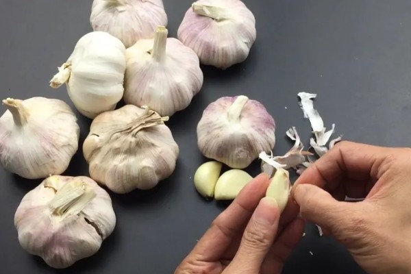 种大蒜要剥外面的皮吗，可以剥去外皮也可不剥皮