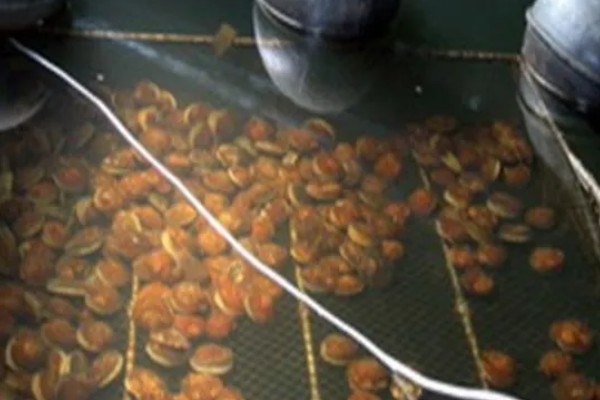 珍珠的培育方式，主要以马氏贝、白蝶贝培育为主