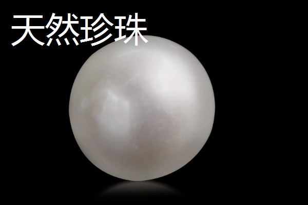 珍珠的培育方式，主要以马氏贝、白蝶贝培育为主