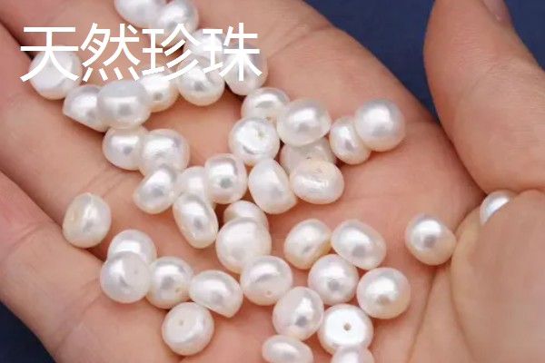 珍珠的培育方式，主要以马氏贝、白蝶贝培育为主