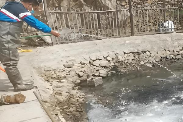 龙虾怎么养殖，放苗前要施肥培育生物饵料