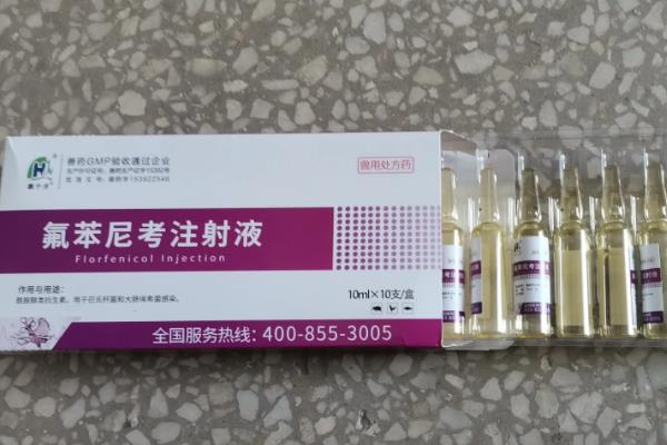 猪拉水泥样稀粪是什么病，是患上了增生性回肠炎