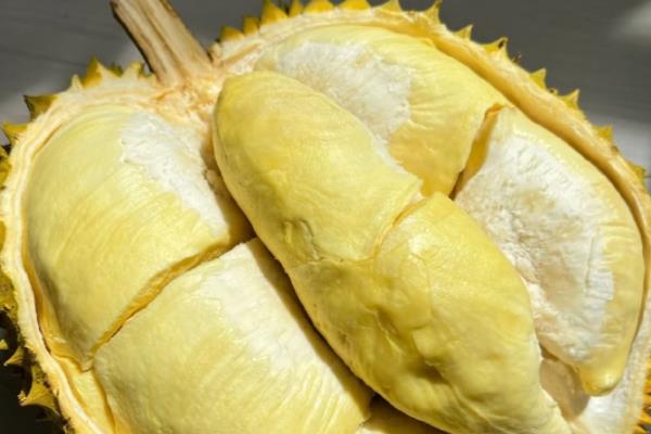 榴莲如何分辨好坏，可以闻味道、看裂缝等