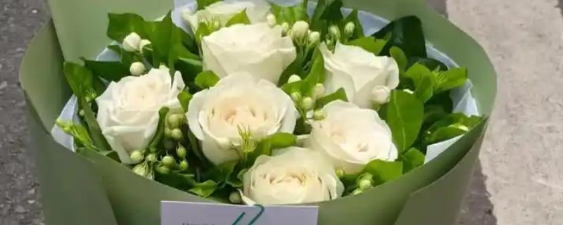 白玫瑰的花语是什么，寓意纯洁天真、浪漫美好等