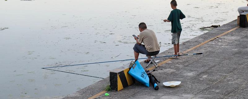 初夏钓鱼的技巧，建议在窝料中加一些红虫、虾粉等