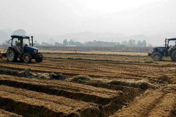 土豆怎么种植，苗期追施速效肥