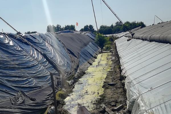 土豆冬季大棚三膜种植方法，在大拱棚内建造小拱棚