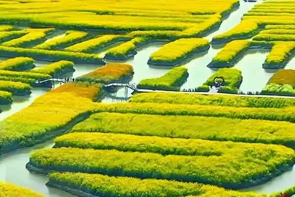 江苏兴化市的特产，有金松牌皮蛋、中庄醉蟹等