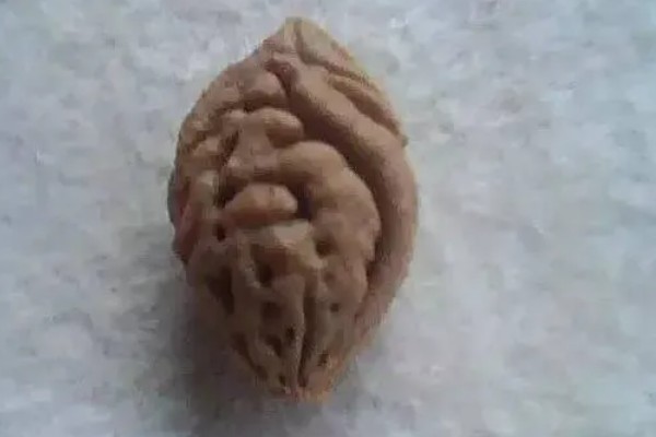 桃树苗的嫁接方式，以枝接、芽接为主