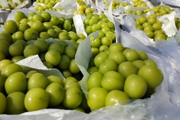 晴王有没有籽，晴王没有籽